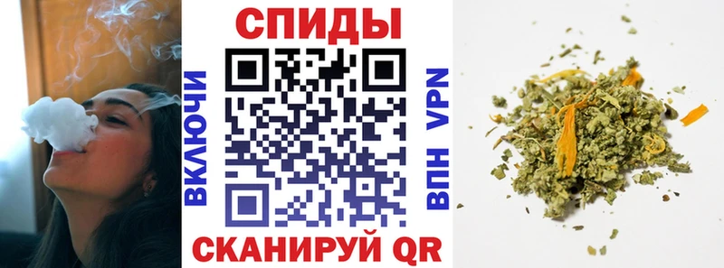 Купить  Болгар  Бутират буратино 