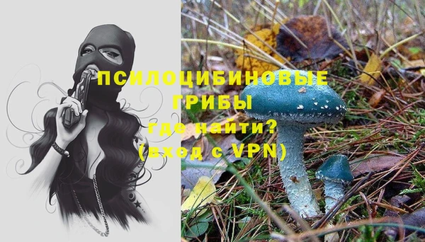 МДПВ Аркадак