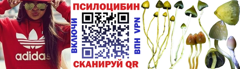 Купить Болгар Псилоцибиновые грибы мухоморы