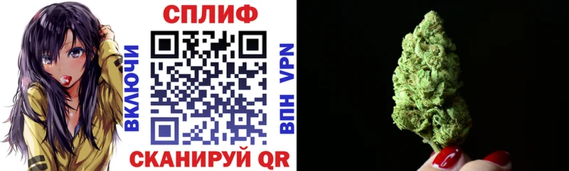 Купить где  Болгар  Марихуана семена 